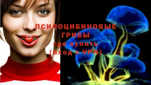 индика Армянск