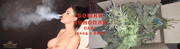 амф Михайловск