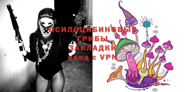 амф Михайловск