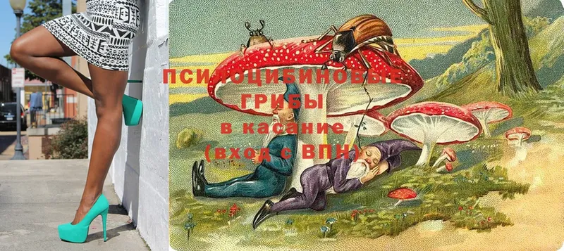 Галлюциногенные грибы ЛСД  наркота  Шилка 