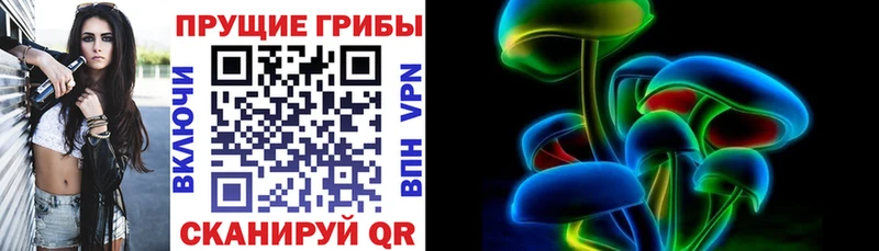 Псилоцибиновые грибы ЛСД  сколько стоит  Шилка 